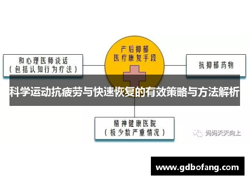 科学运动抗疲劳与快速恢复的有效策略与方法解析
