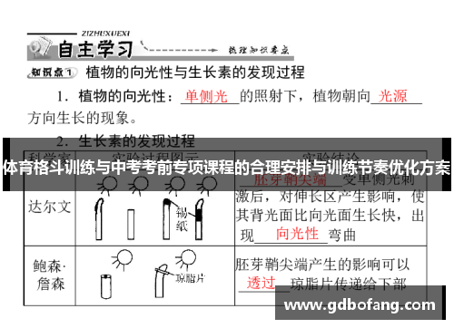 体育格斗训练与中考考前专项课程的合理安排与训练节奏优化方案
