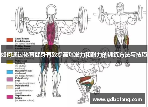 如何通过体育健身有效提高爆发力和耐力的训练方法与技巧